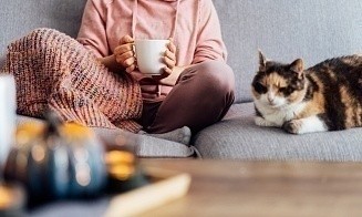 «Без детей, котов, вредных привычек и личной жизни». Психолог — о том, как съемное жилье влияет на человека