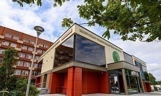 Какие три страны стали крупнейшими покупателями пиломатериалов на БУТБ