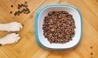 Продукцию белорусского производителя кормов для животных разрешили поставлять в Россию