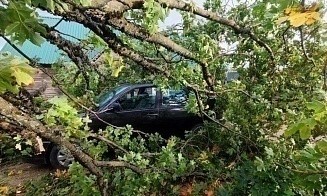 В Беларуси второй день сильный ветер. Вот что он натворил вчера
