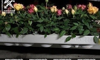 В Беларусь хотели ввезти партию цветов по заниженной в пять раз стоимости