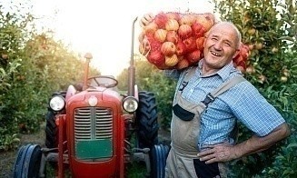 Производство сельхозпродукции в этом году обогнало IT-отрасль по вкладу в ВВП