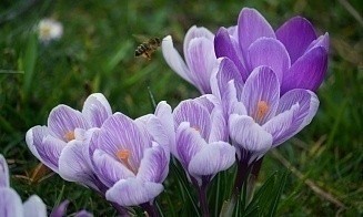 Какая погода будет в Беларуси на этой рабочей неделе