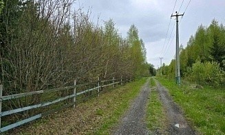 Белорусам разрешили легализовать 40% самовольно занятых участков