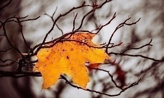 Последняя неделя без морозов? Какой будет погода после длинных выходных