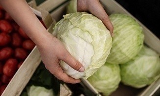 В магазинах не хватает белорусских ранних картошки и капусты