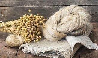 В Беларуси вводят лицензии на экспорт льна