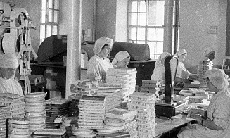 Конюшни в цехах и коктейли Молотова вместо карамели. Военная история гомельского «Спартака»