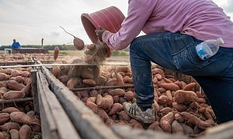 Как за пять лет изменилось количество фермеров в Беларуси