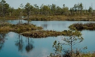 В России снизили финансовые требования к туроператорам, работающим с Беларусью