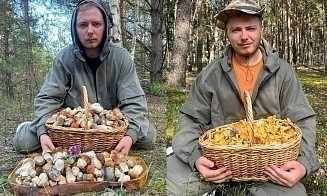 В лес за грибами — за $350. Почему так дорого и для кого такие туры