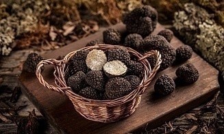 На Белорусской товарной бирже впервые продали трюфели