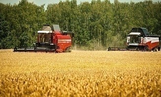 В Минсельхозпроде сообщили о планах закупить миллион тонн зерна