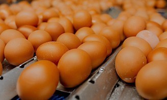 Россия усилила контроль за продукцией четырех белорусских компаний