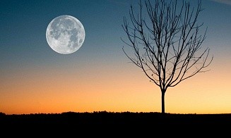 У Луны будет собственный часовой пояс