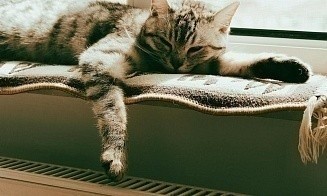В Беларуси начали включать отопление в квартирах