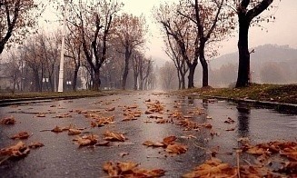 Ноябрь уходит, но не сдается. Какой будет погода в первую рабочую неделю зимы