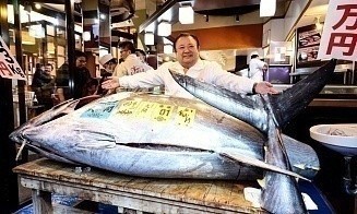 В Японии выловили гигантского тунца и продали его за рекордные $3,2 млн