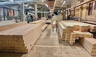 Лесхозы начали поставлять переработанную после урагана древесину в Китай и Турцию