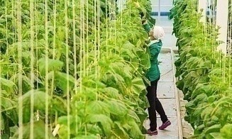 Министерство образования определило самые востребованные экономикой профессии