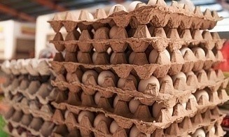 Молока — больше, яиц — меньше. Сколько продуктов выпустили в стране в 2023 году