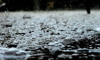 Ни дня без дождя? Прогноз погоды на последнюю неделю июля