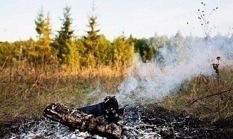 В Беларуси лесхозы тушат пожары в лесах и на болоте