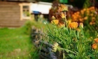 Сюрпризы нового Кодекса о земле: кому станет проще купить участок