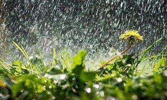Без жары, но с грозами и градом. Какую погоду прогнозируют синоптики на конец июня