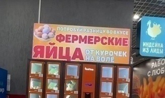В Беларуси установили первый яйцемат. Что это такое