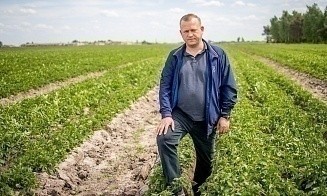«Согревать семена начали в феврале». Как под Столином растят раннюю картошку