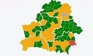 Посещение лесов ограничено во всех областях Беларуси, кроме одной