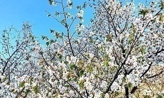 Немного дождливого лета? Какой будет погода в выходные