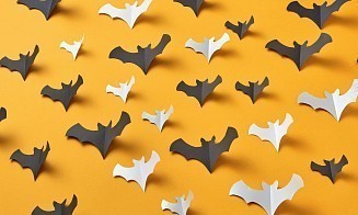 Смертельный вирус Нипах теперь не только в Индии. В Минске усилили контроль в аэропорту