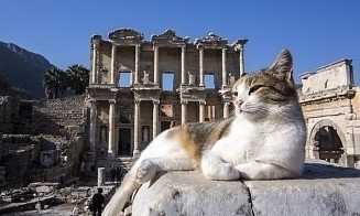 Пять необычных вариантов отдыха за границей, для которых не нужен «шенген»