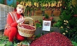 Едем смотреть на журавлей или идем на лекцию по финансам? Семь классных событий в выходные